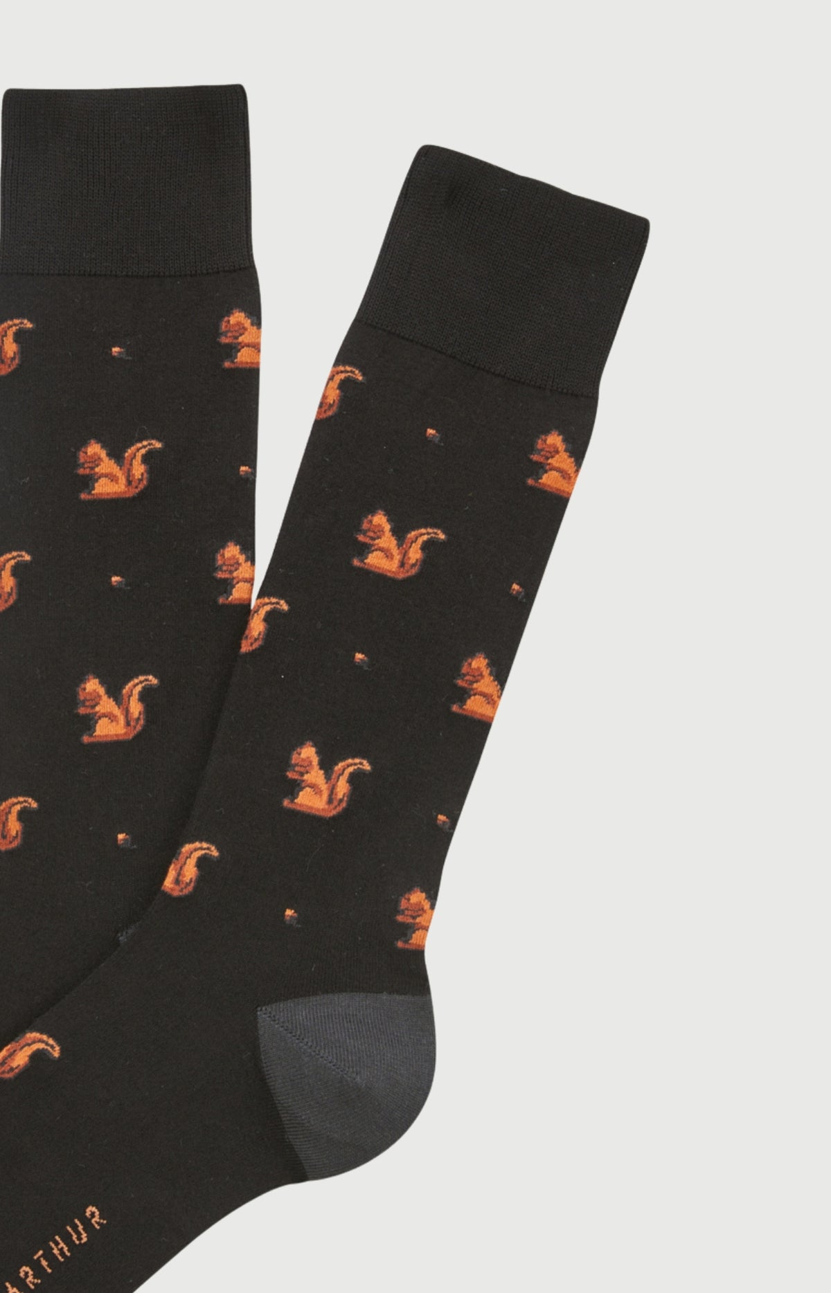 Chaussettes en coton Homme Ecureuil noir 2