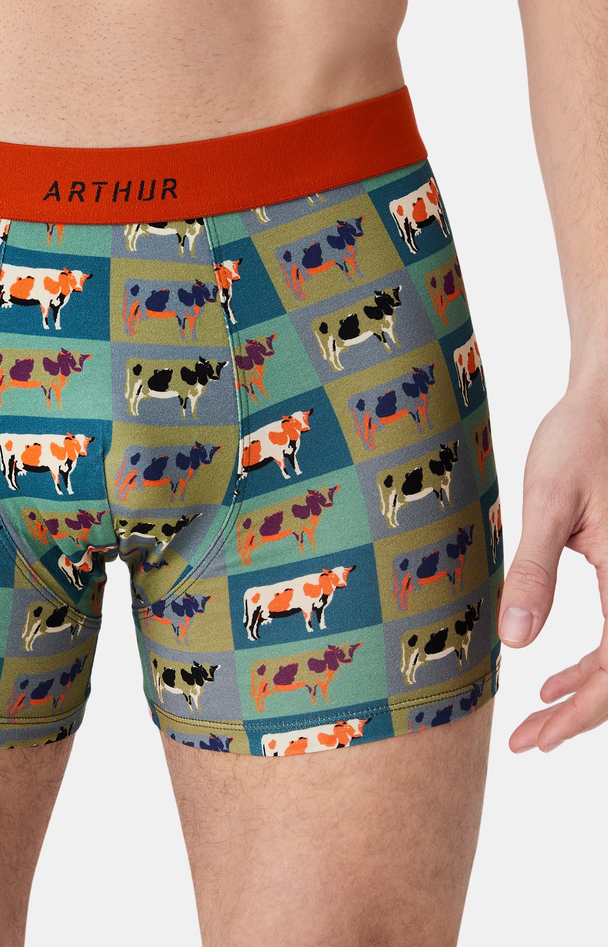 Boxers homme Vache MULTICOLORE 2