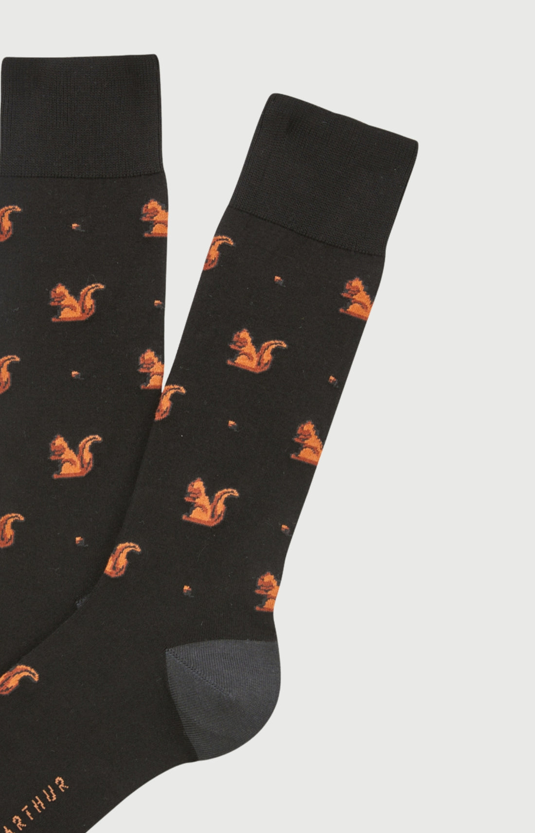 Chaussettes en coton Homme Ecureuil noir 2