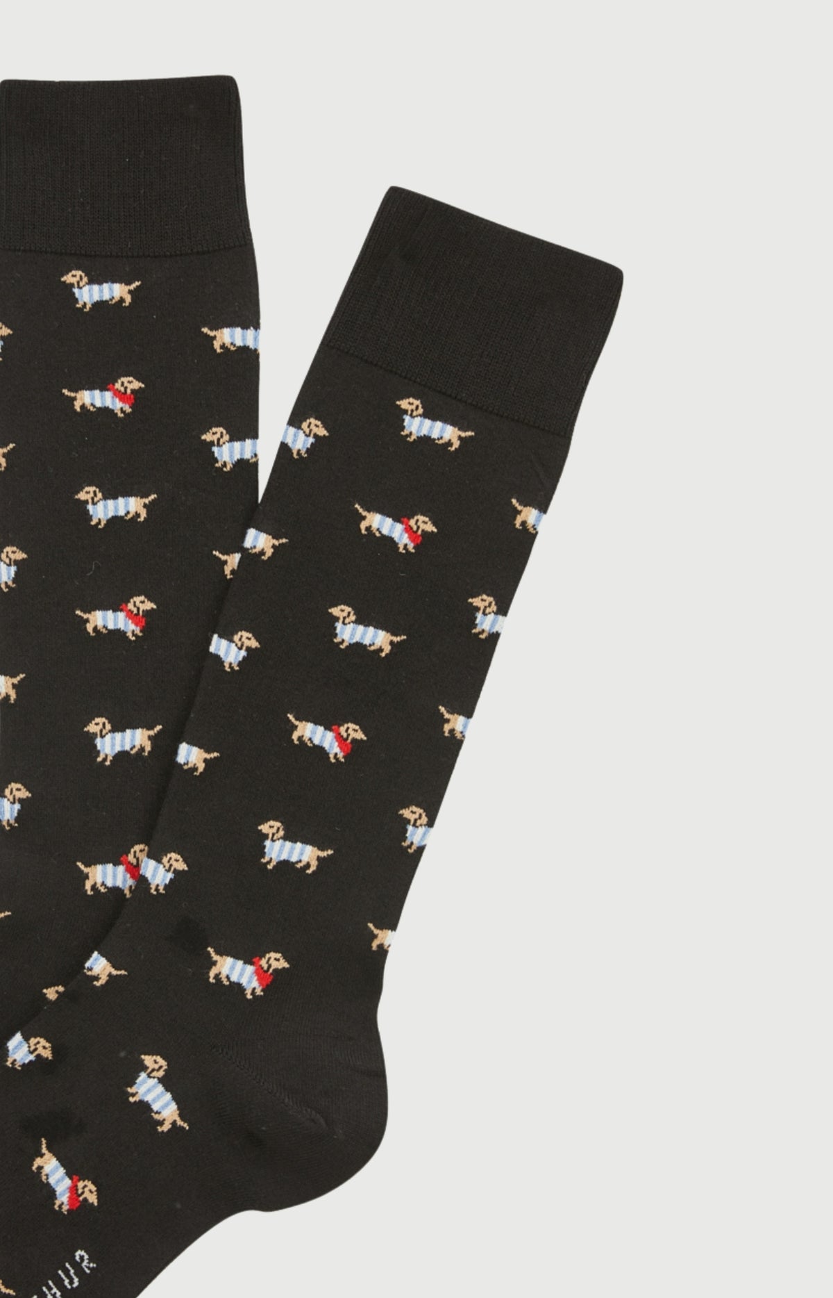 Chaussettes en coton Homme Tobbie noir 2