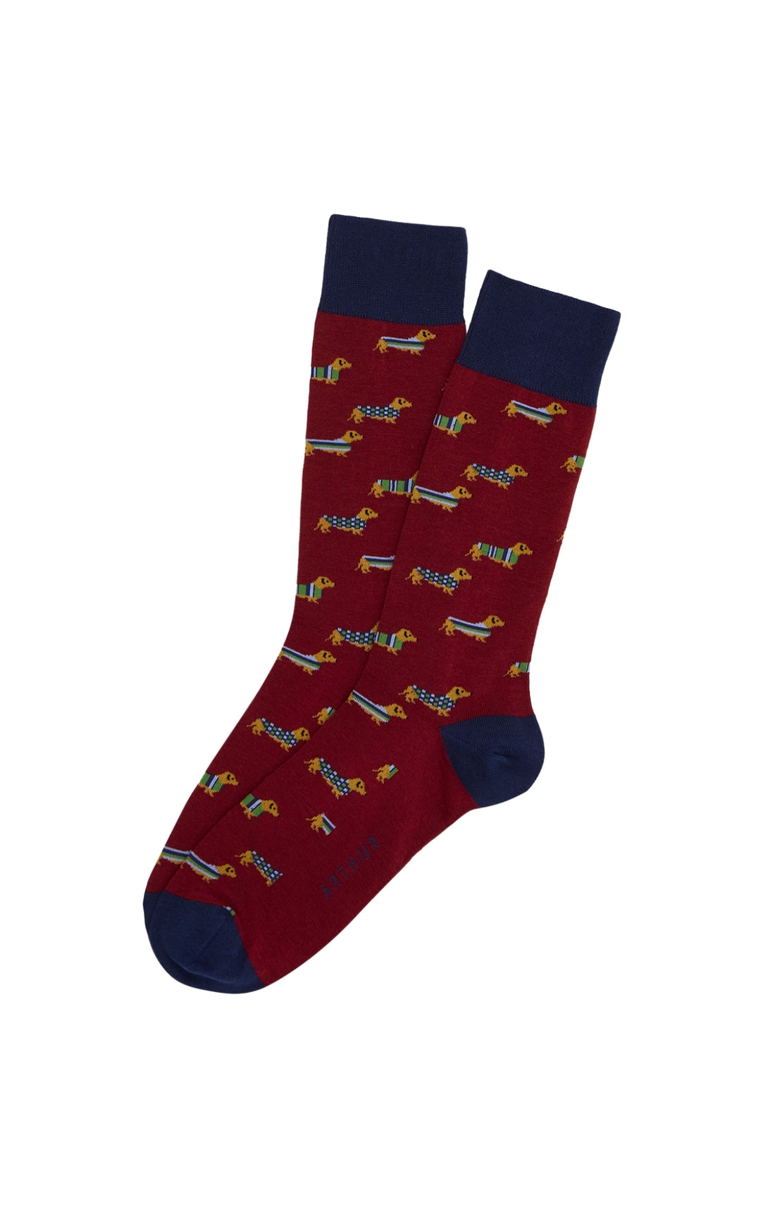 Chaussettes Homme Teckel Bordeaux BORDEAUX 1