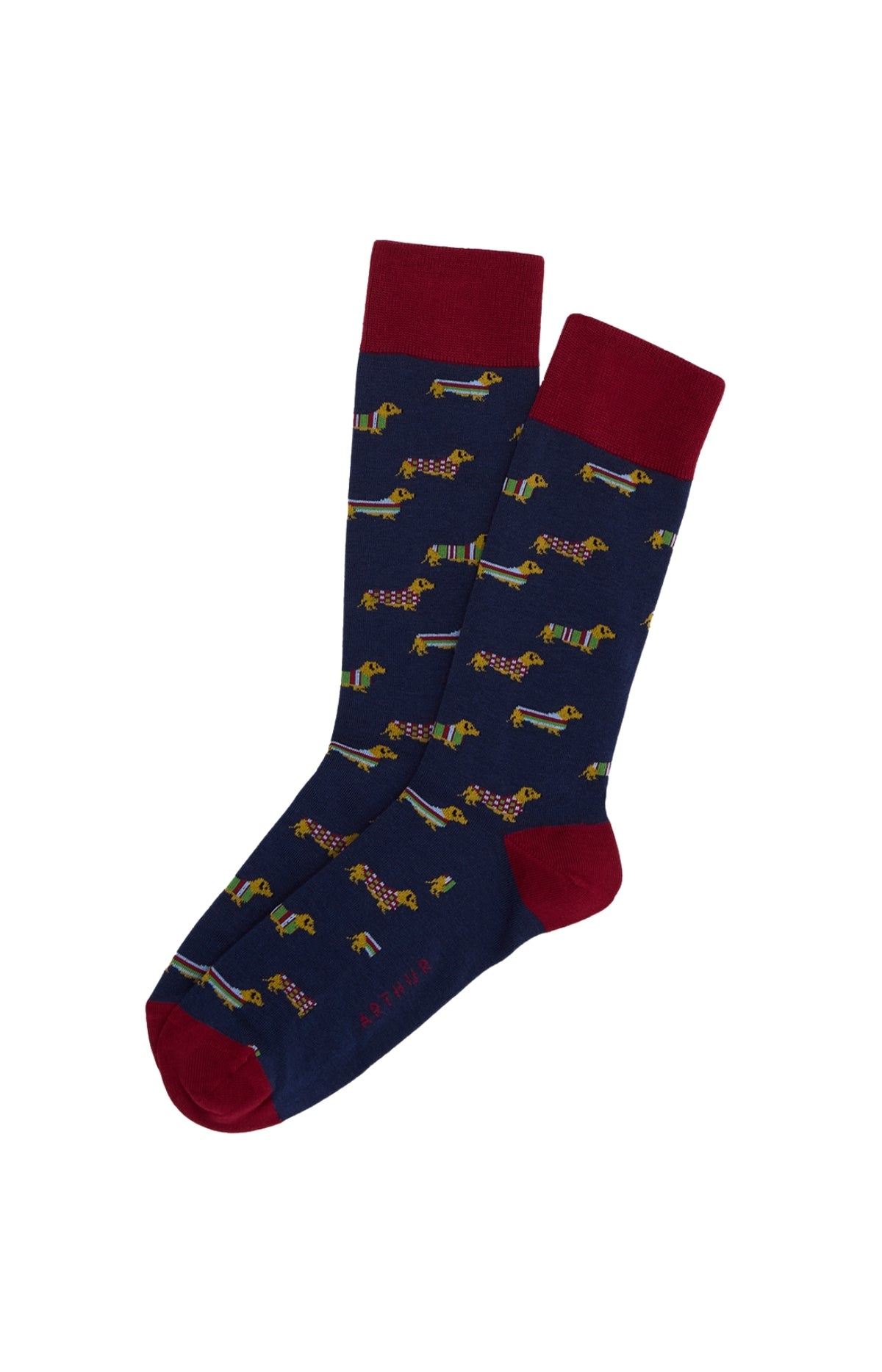 Chaussettes Homme Teckel Marine MARINE 1