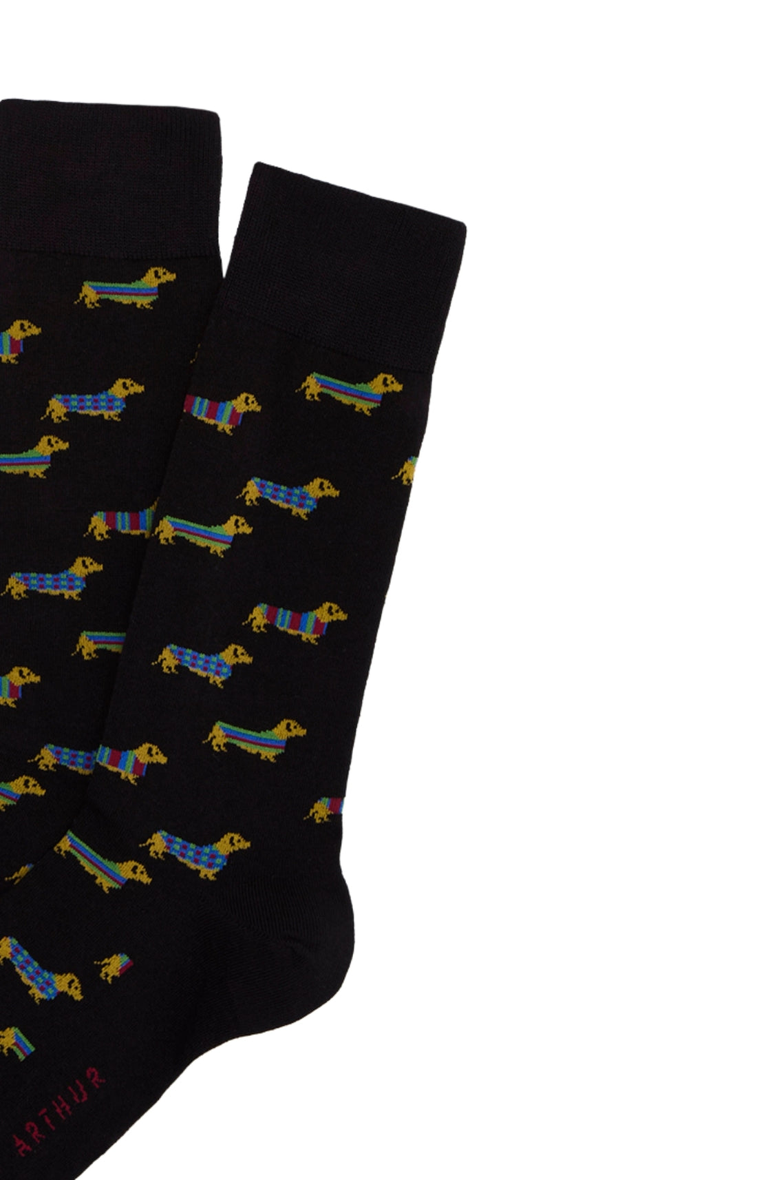 Chaussettes Homme Teckel Noir NOIR 2