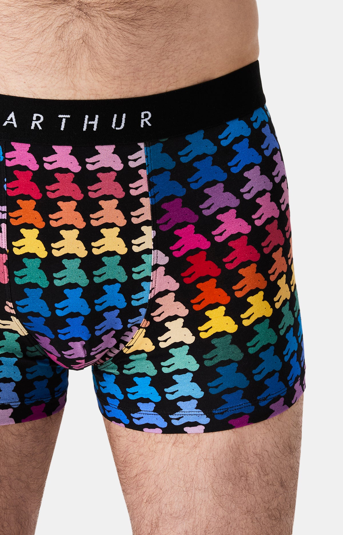 Boxers homme Teddy Bear MULTICOLORE 2