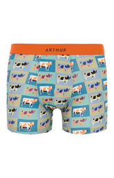 Boxers homme Vache MULTICOLORE 3
